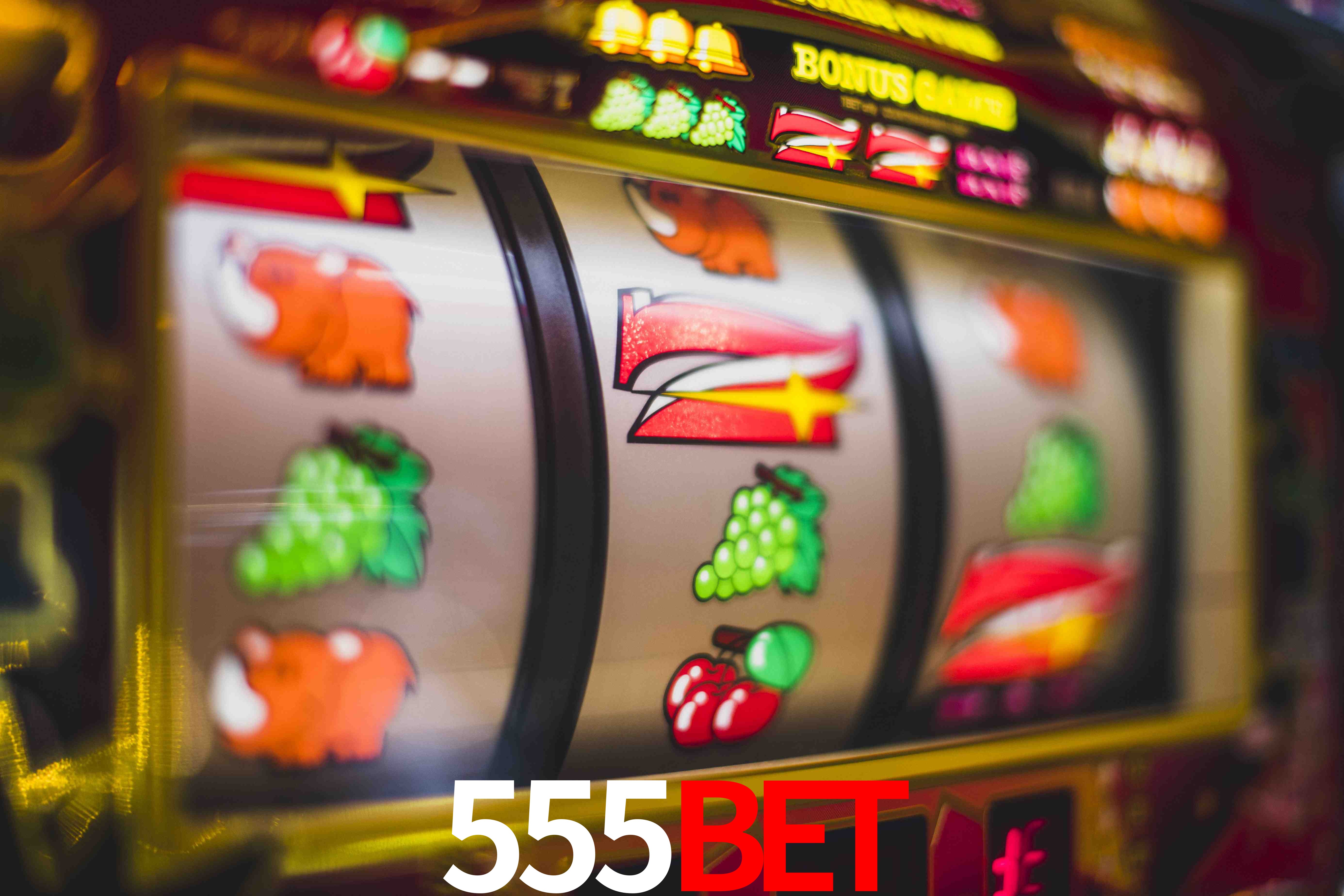 VIP Casino 555bet